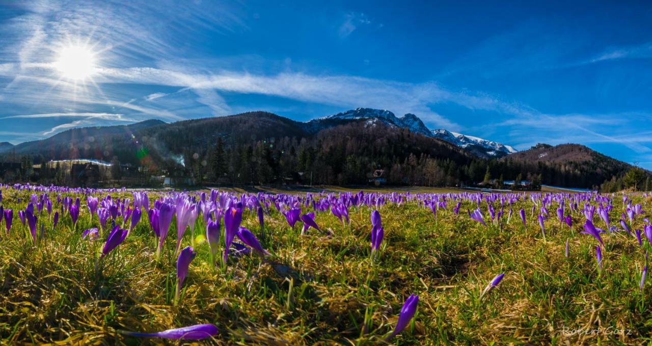 Regionalny Domek Pod Skocznia Zakopane Luaran gambar