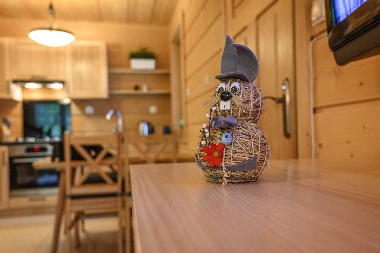 Regionalny Domek Pod Skocznia Zakopane Luaran gambar